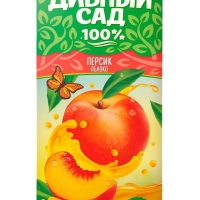 Нектар ДИВНЫЙ САД яблочно-персиковый 1 л