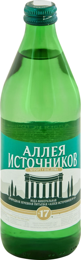 Вода Ессентуки №17 0,5 л Аллея Источников евровинт газированная