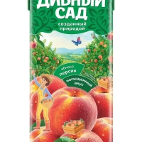 Нектар ДИВНЫЙ САД яблочно-персиковый 1 л