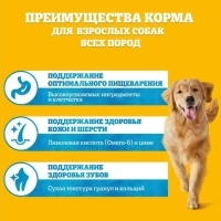 PEDIGREE с говядиной для собак миниатюрных пород 600 г