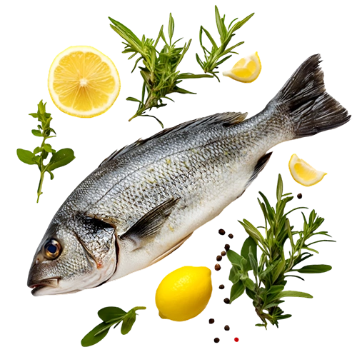 Рыба и морепродукты