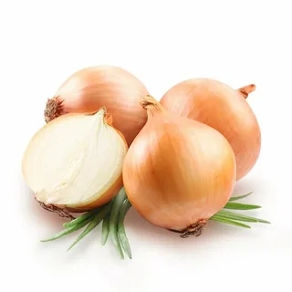 Лук репчатый