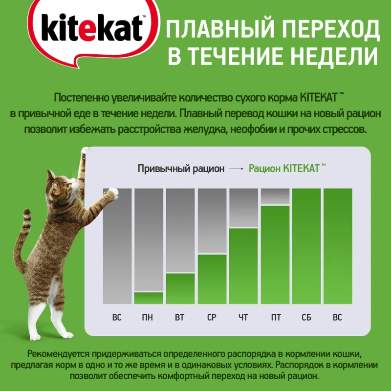 KITEKAT "Мясной пир" 350 г