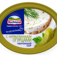 Сыр HOCHLAND творожный с маринованными огурцами 140 г 60%