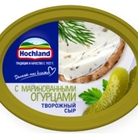 Сыр HOCHLAND творожный с маринованными огурцами 140 г 60%