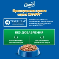 CHAPPI "Сытный мясной обед" по-домашнему с говядиной 600 г