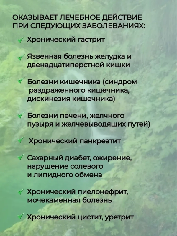 Вода минеральная ГОРЯЧИЙ КЛЮЧ 2000 "Горячеключевская" столовая газированная 0.5 л