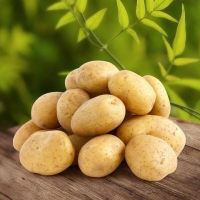 Картофель