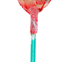 Карамель CHUPA CHUPS фруктовая в ассортименте 12 г