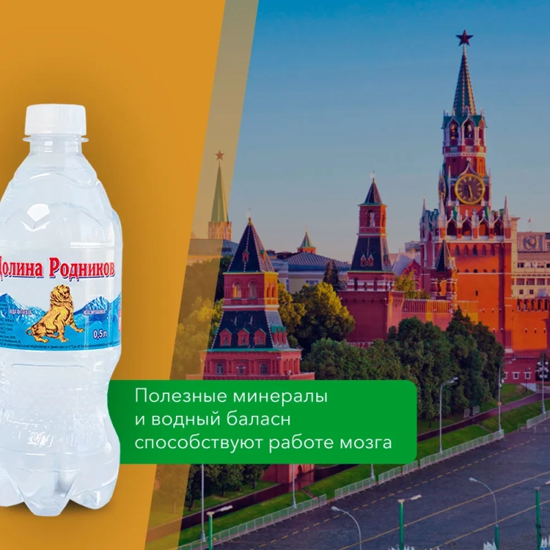 Долина родников вода питьевая газированная  0,5л