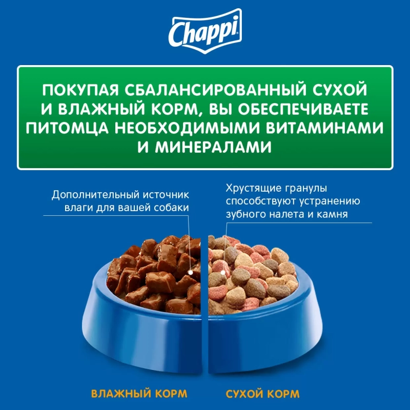 CHAPPI "Сытный мясной обед" по-домашнему с говядиной 600 г