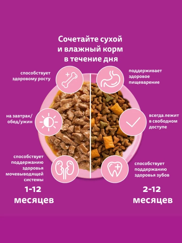 WHISKAS рагу с ягненком для котят 75 г