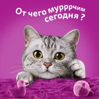 WHISKAS рагу с говядиной и ягненком 75 г