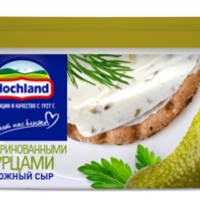 Сыр HOCHLAND творожный с маринованными огурцами 140 г 60%