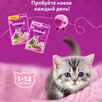 WHISKAS рагу с курицей для котят 75 г