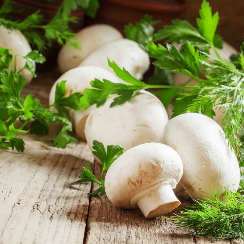 Шампиньоны вес