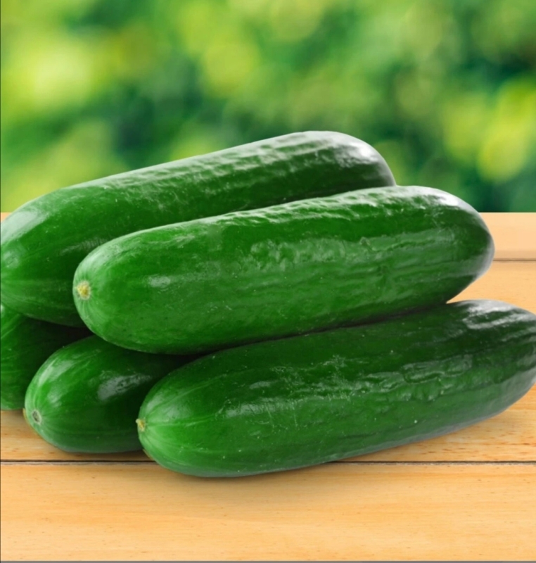 Огурцы длин.