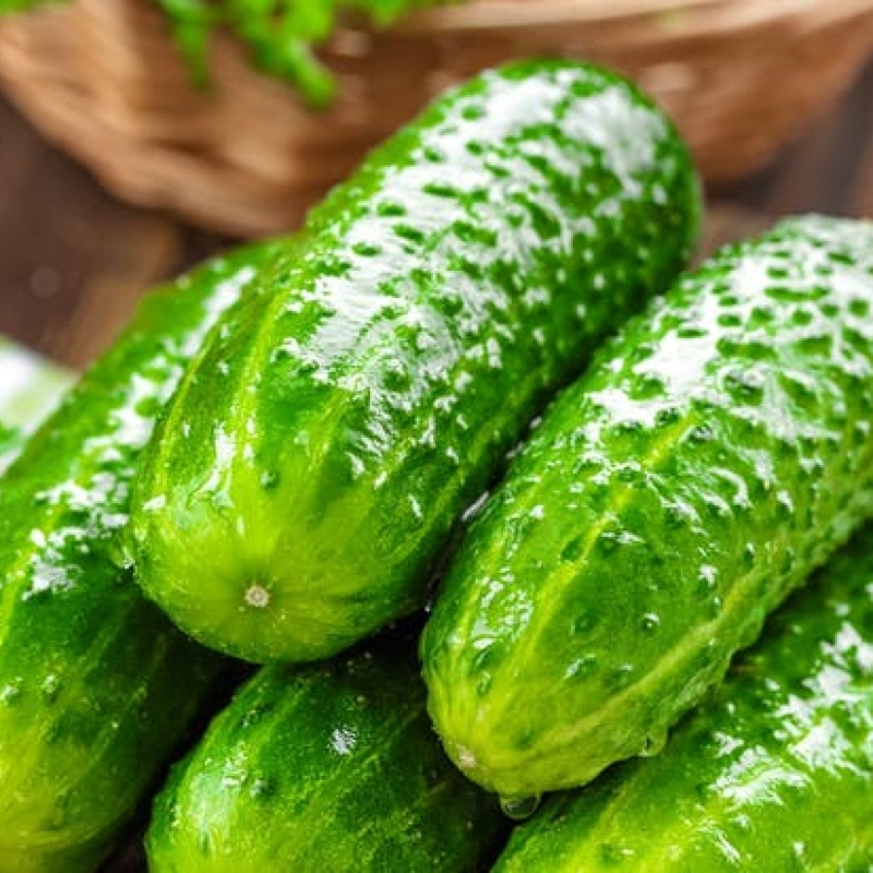 Огурцы свежие