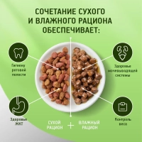 KITEKAT "Мясной пир" 800 г