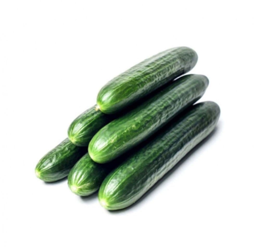 Огурцы длин.