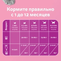 WHISKAS рагу с курицей для котят 75 г