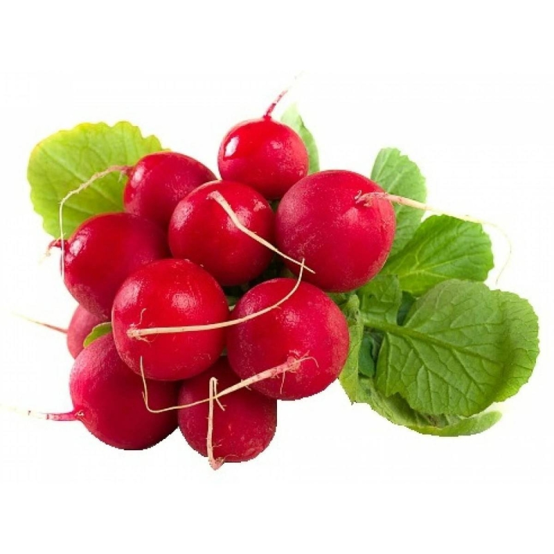 Редис вес Редис вес