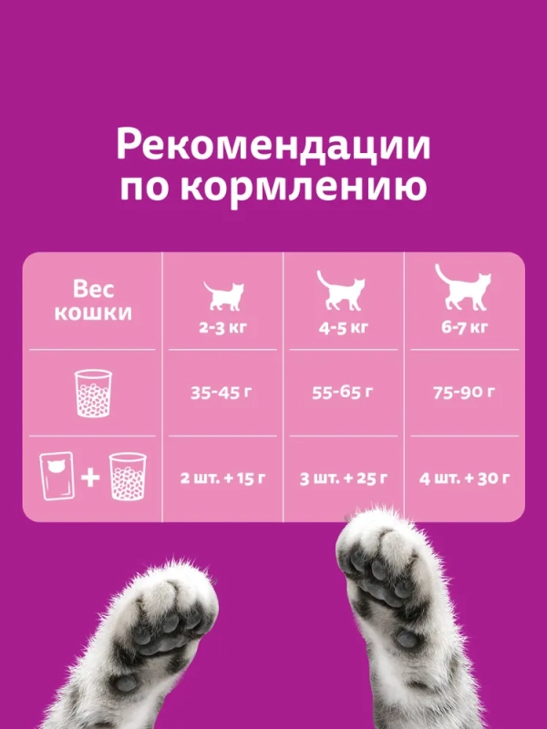 WHISKAS подушечки с нежным паштетом WHISKAS подушечки с нежным паштетом "Аппетитное ассорти с курицей и индейкой" 800 г