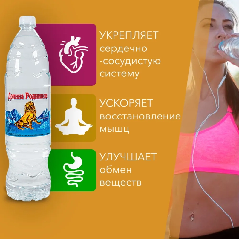 Вода питьевая РУЧЕЕК "Долина родников" газированная 1.5 л