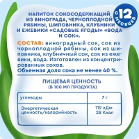 Напиток сокосодержащий АГУША садовые ягоды 0.3 л