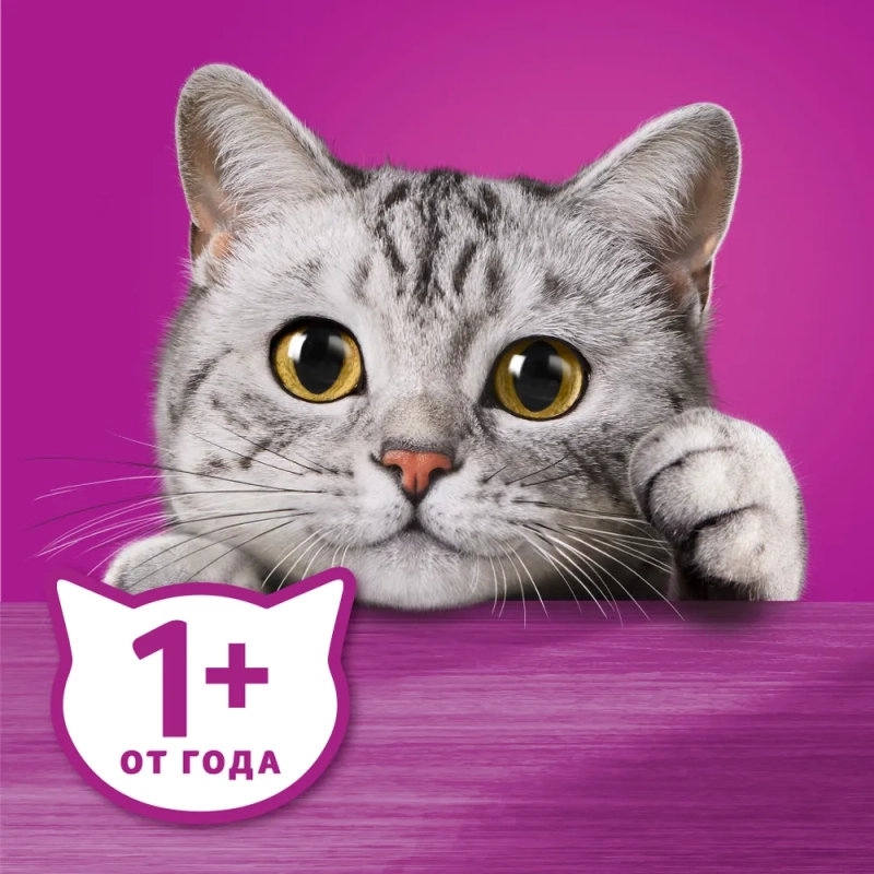WHISKAS рагу с телятиной 75 г
