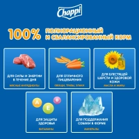 CHAPPI "Сытный мясной обед" по-домашнему с говядиной 600 г