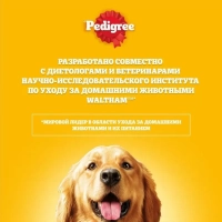 PEDIGREE с говядиной для собак всех пород 600 г