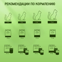 KITEKAT "Телятинка аппетитная" 350 г