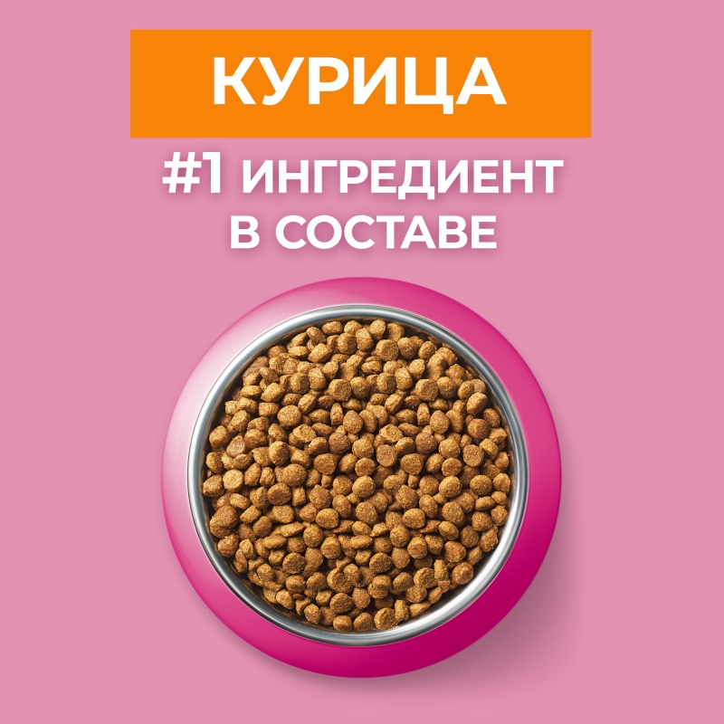 PURINA One курица и злаки для котят от 1 до 12 месяцев 200 г