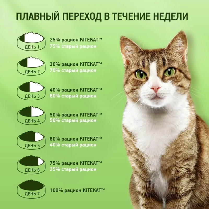 KITEKAT "Курочка аппетитная" 800 г