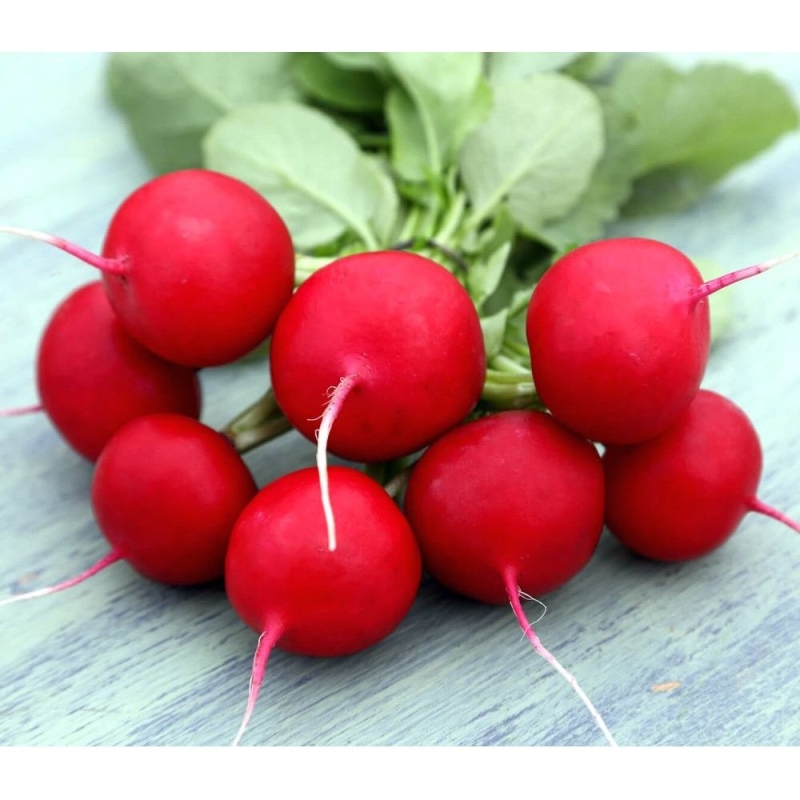 Редис вес Редис вес