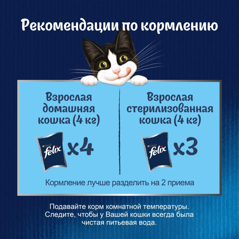 PURINA PURINA "Felix. Аппетитные кусочки" говядина в желе 75 г