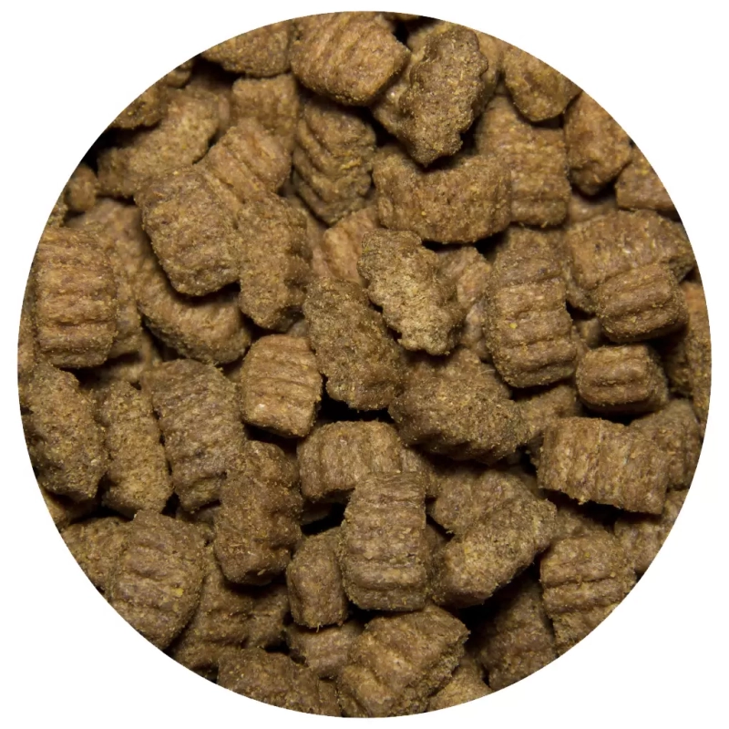 ALL DOGS ALL DOGS "Adult Dogs" с курицей 2.2 кг