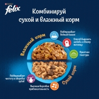 PURINA "Felix. Аппетитные кусочки" индейка в желе 75 г