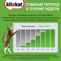 KITEKAT с говядиной в соусе 85 г