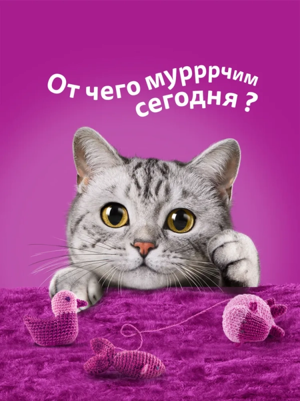 WHISKAS желе с говядиной и ягненком 75 г